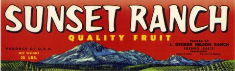 Sunset Ranch